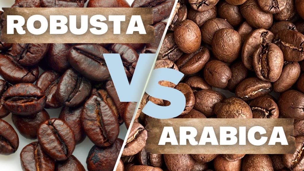 تفاوت قهوه عربیکا و روبوستا چیست؟